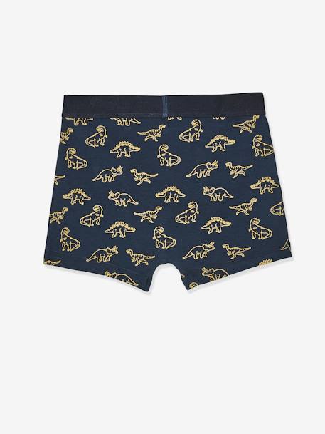 5er-Pack Jungen Boxershorts, Dinos Oeko Tex farblich sortiert 7