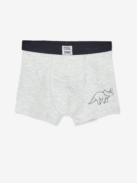 5er-Pack Jungen Boxershorts, Dinos Oeko Tex farblich sortiert 4