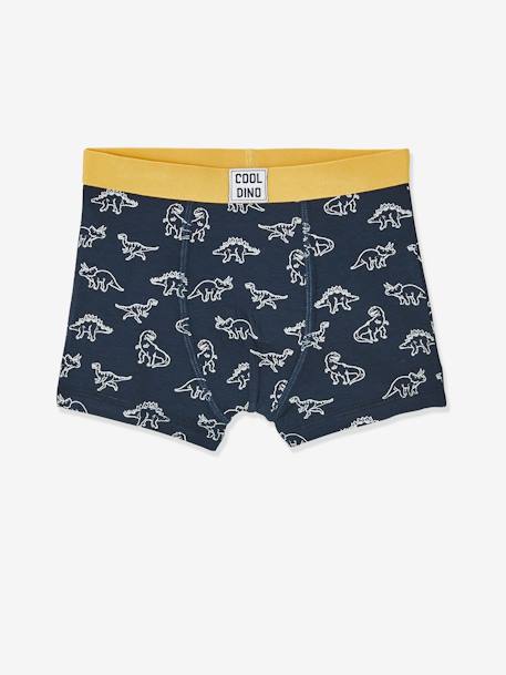 5er-Pack Jungen Boxershorts, Dinos Oeko Tex farblich sortiert 3