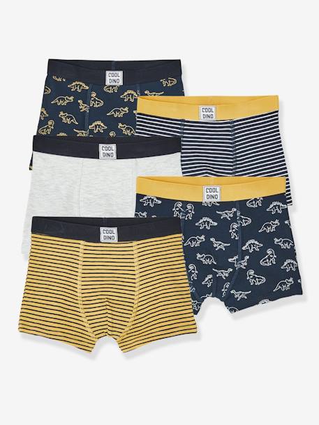 5er-Pack Jungen Boxershorts, Dinos Oeko Tex farblich sortiert 1