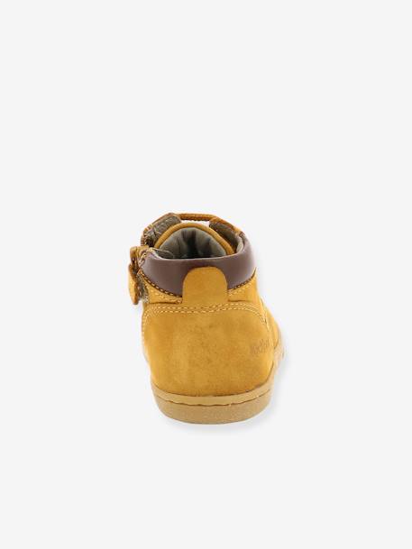 Jungen Baby Boots TACKLAND KICKERS - camelfarben+khaki - 5