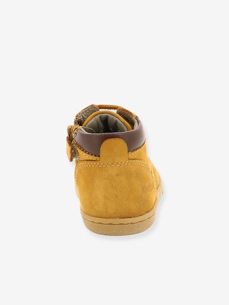 Jungen Boots TACKLAND KICKERS camelfarben+khaki 5