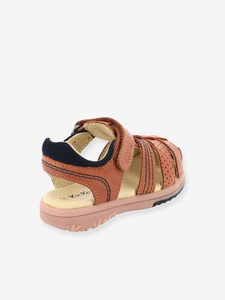 Jungen Ledersandalen PLATINIUM KICKERS - camelfarben+marine - 4