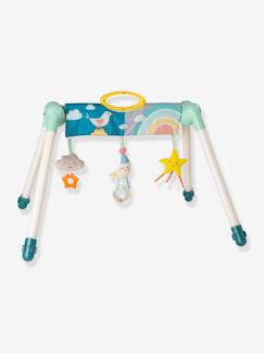 Spielzeug-Baby-Baby Spielbogen TAF TOYS