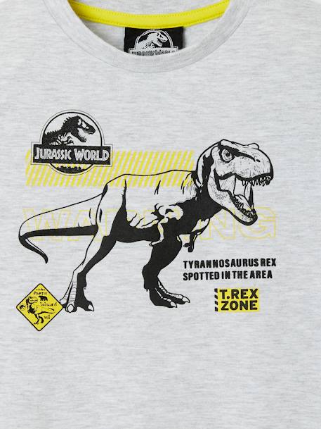 Kinder T-Shirt JURASSIC WORLD - grau meliert - 3