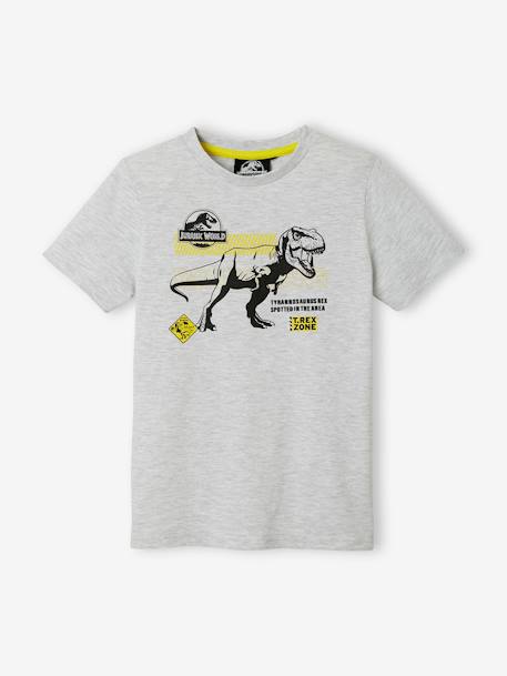 Kinder T-Shirt JURASSIC WORLD - grau meliert - 1