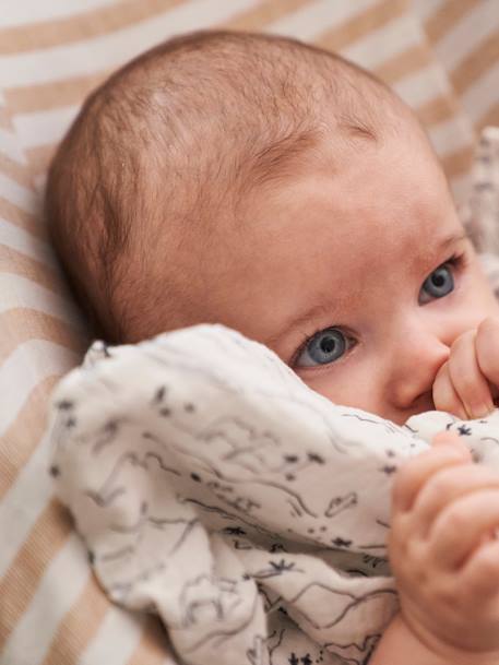 Schonbezug für Babyschale Gr. 0+ beige gestreift+dunkelblau polarstern+dunkelrosa+wollweiß gestreift 2