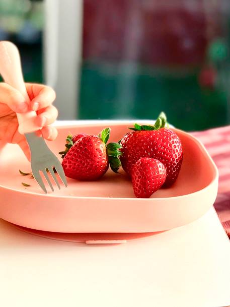 Baby Esslern-Teller mit Saugnapf BEABA grün+rosa 4