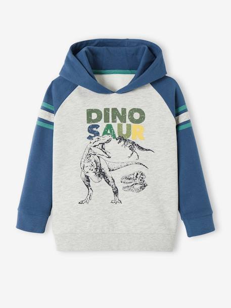 Jungen Kapuzensweatshirt, Kontrastärmel blau 1