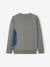 Jungen Pullover, T-Rex Oeko-Tex grau meliert+marine 2