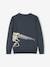 Jungen Pullover, T-Rex Oeko-Tex grau meliert+marine 5