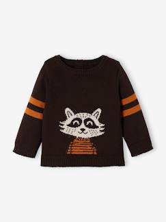 Baby Strickpullover mit Waschbär -  - [numero-image]