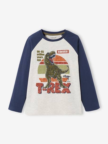 Jungen Shirt, Raglanärmel Oeko-Tex - blau+grau meliert - 1