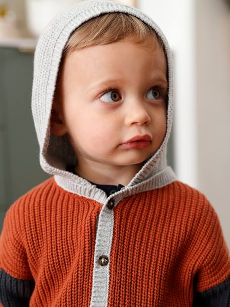 Jungen Baby Cardigan mit Kapuze, Rippenstrick - ziegel - 5