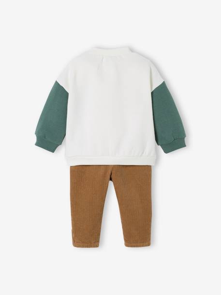 Baby-Set: Sweatshirt & Cordhose vanille+wollweiß 11