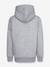 Kapuzensweatshirt CONVERSE grau+marine+rot 2