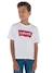 Jungen T-Shirt BATWING Levi's blau+weiß 5