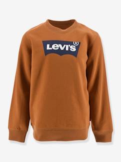 Jungenkleidung-Pullover, Strickjacken, Sweatshirts-Sweatshirts-Jungen Sweatshirt BATWING CREWNECK Levi's