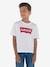 Jungen T-Shirt BATWING Levi's - blau+weiß - 3