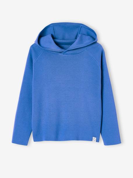 Jungen Kapuzenpullover Oeko-Tex blau 1