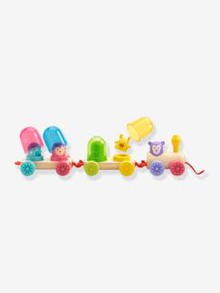 Spielzeug-Baby-Tasten & Greifen-Nachzieh-Eisenbahn RAINBOW TRAIN DJECO