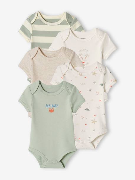 3er-Pack Baby Schlupfbodys Oeko-Tex - aqua - 1