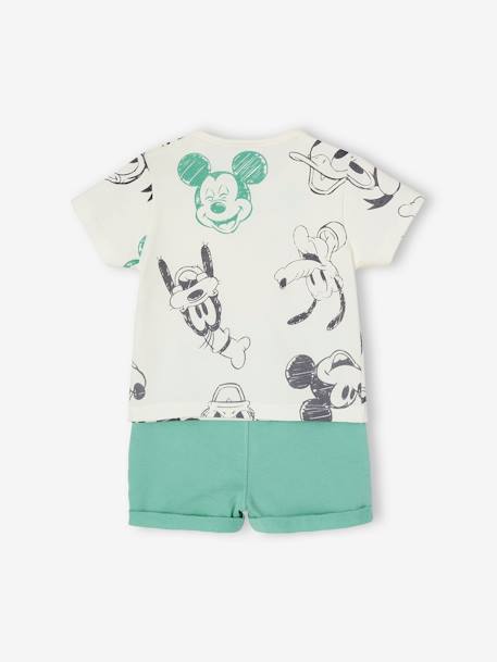 Baby-Set: T-Shirt & Shorts Disney MICKY MAUS grün bedruckt 4