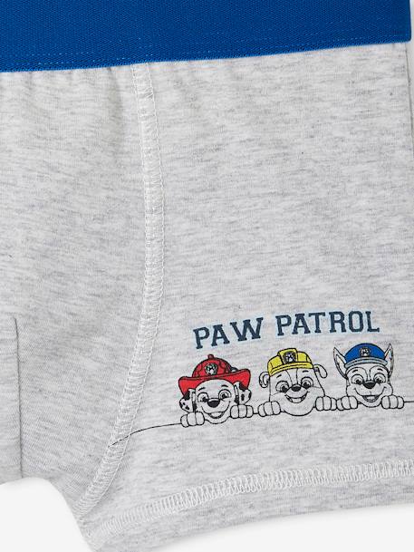 3er-Pack Jungen Boxershorts PAW PATROL - blau - 7