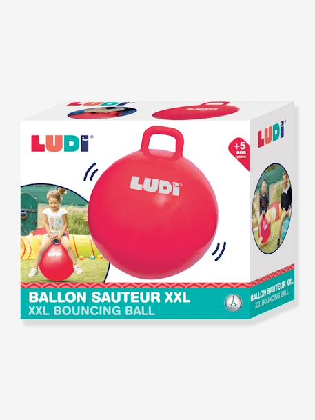 Kinder XXL-Hüpfball LUDI blau+rot 13