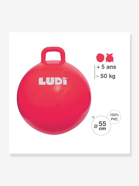 Kinder XXL-Hüpfball LUDI blau+rot 10