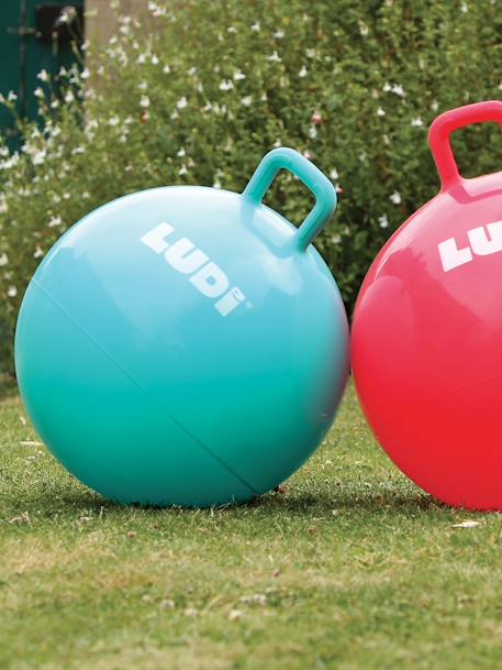 Kinder XXL-Hüpfball LUDI - blau+rot - 8