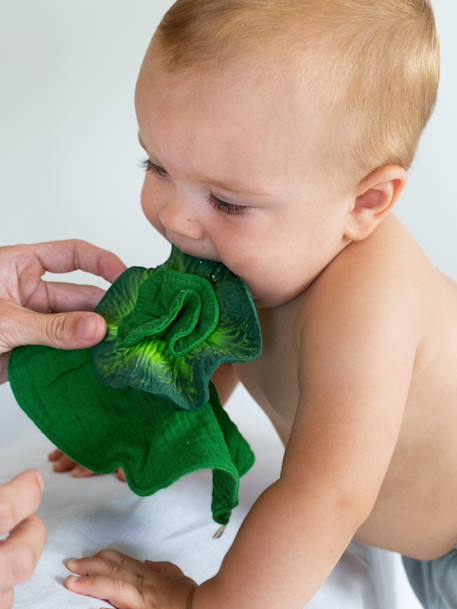 Baby Beißspielzeug und Schmusetuch KENDALL KOHLKOPF OLI & CAROL - grün - 1