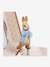 Kinder Spieldose PETER RABBIT TROUSSELIER rot bedruckt 3