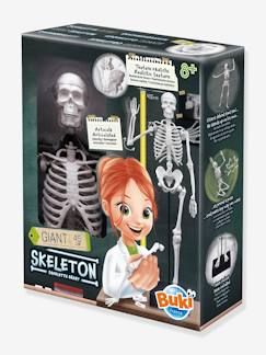 -Kinder Anatomie-Skelett BUKI