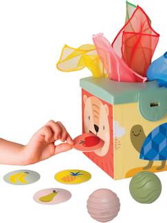 Spielzeug-Baby Activity-Spielzeug ZAUBERBOX TAF TOYS