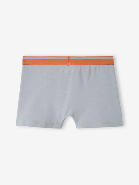 5er-Pack Jungen Stretch-Boxershorts, Yeti graublau 7