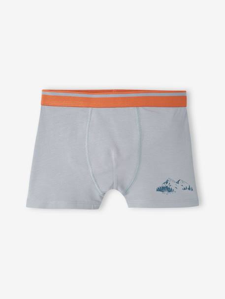 5er-Pack Jungen Stretch-Boxershorts, Yeti graublau 4