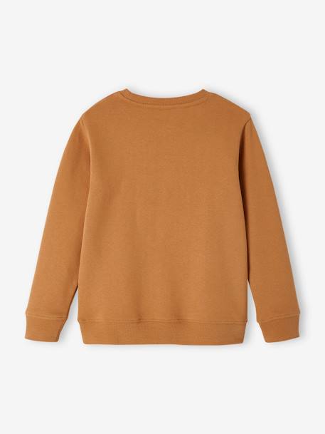 Jungen Sweatshirt BASIC pekannüsse 3