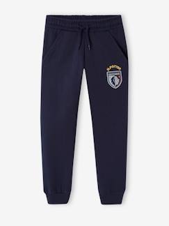 Jungenkleidung-Jungenhosen-Kinder Joggpants HARRY POTTER