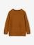 Jungen Pullover Oeko-Tex bronze 1