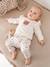 Baby-Set: Sweatshirt & Hose beige meliert+rosa+wollweiß 13