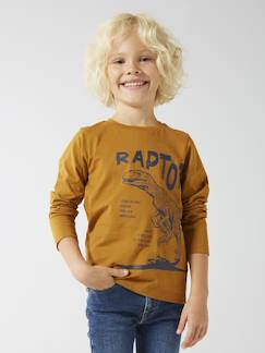 Jungen Shirt BASIC Oeko-Tex  [numero-image]