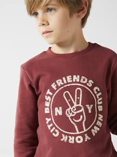 Jungenkleidung-Pullover, Strickjacken, Sweatshirts-Jungen Sweatshirt BASIC