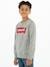 Jungen Sweatshirt Batwing Crewneck Levi's grau 6