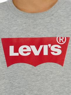 Jungenkleidung-Pullover, Strickjacken, Sweatshirts-Jungen Sweatshirt Batwing Crewneck Levi's