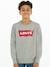 Jungen Sweatshirt Batwing Crewneck Levi's grau 7