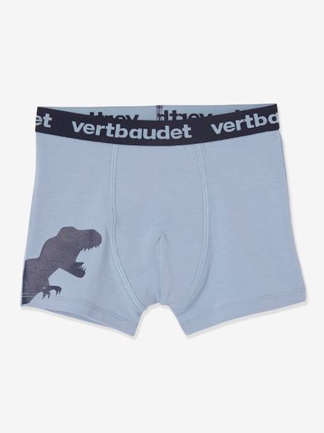 5er-Pack Jungen Boxershorts, Dinosaurier Oeko-Tex - farblich sortiert dino - 5