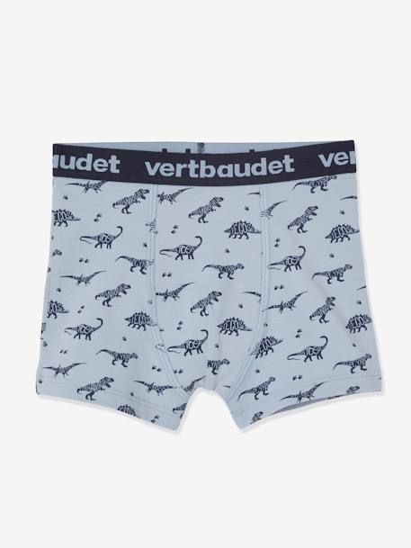 5er-Pack Jungen Boxershorts, Dinosaurier Oeko-Tex - farblich sortiert dino - 2