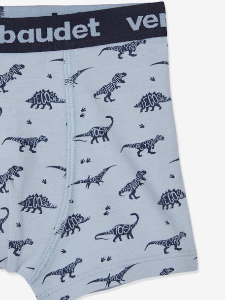 5er-Pack Jungen Boxershorts, Dinosaurier Oeko-Tex - farblich sortiert dino - 8