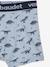 5er-Pack Jungen Boxershorts, Dinosaurier Oeko-Tex - farblich sortiert dino - 8